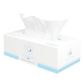 Washable Dry Type Baby Safe Disinfectant Wipes For Wet And Dry Cleaning